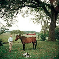 Prize Trotter
