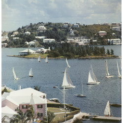 Bermuda View