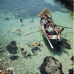 Snorkelling In The Shallows