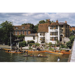 Henley Regatta