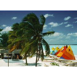 Treasure Cay