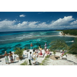 Tropical Mustique