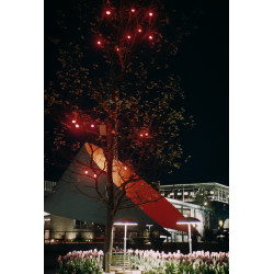 Festival Lights