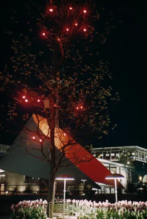 Festival Lights, 1951, Raymond Kleboe