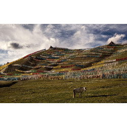 Prayer Flags (Tibet)