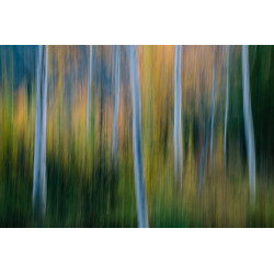 Blurred motion