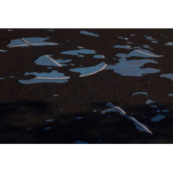 Volcano Ash (Blue Court)