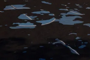 Volcano Ash (Blue Court), 2021