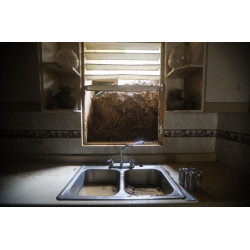 Kitchen Window Mudslide