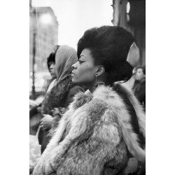 The Supremes