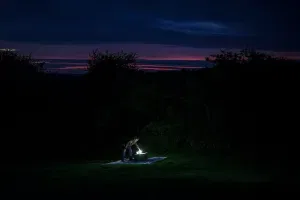 Annual Moth Census (Brill), 2013