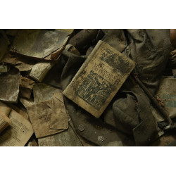 Remnants of Chernobyl (Book)