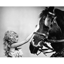 Brigitte Bardot