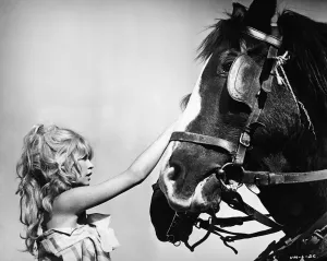 Brigitte Bardot, 1960