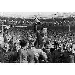 World Cup Victory