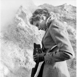 Bergman's Picture