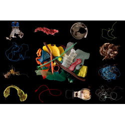 Plastic Debris (Erme Estuary)