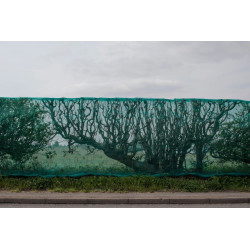 Bird Netting (Lichfield)