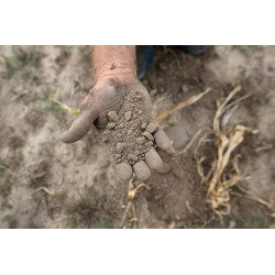 Arid Land (Kansas)