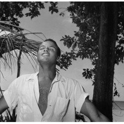 Harry Belafonte