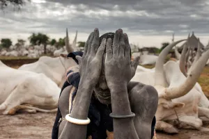 South Sudan Cattleman, 2012