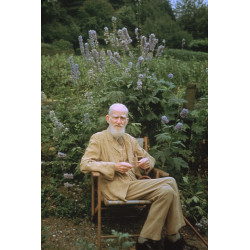 George's Garden