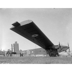 Giant Wing