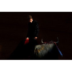 Bullfight at Feria de Abril