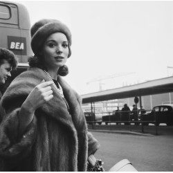 Elsa Martinelli At LAP