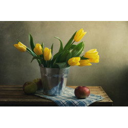 Still life with yellow tulips and apples