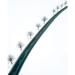 Street in the snow landscape