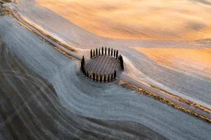 Country road and cypresses grove, 2021