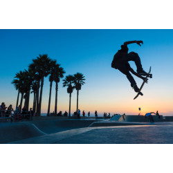 Skaters in Venice Beach