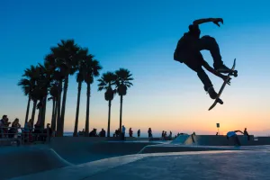 Skaters in Venice Beach, 2014