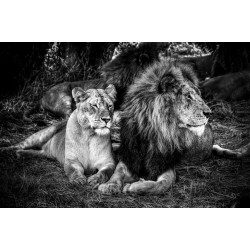 King and Queen