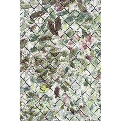 Inverted image of laurel bush